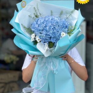Bó hoa cẩm tú cầu xanh dương tinh khôi