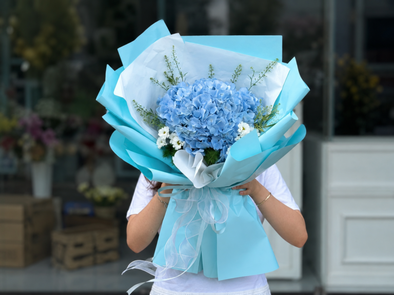 Bó hoa cẩm tú cầu xanh dương tinh khôi