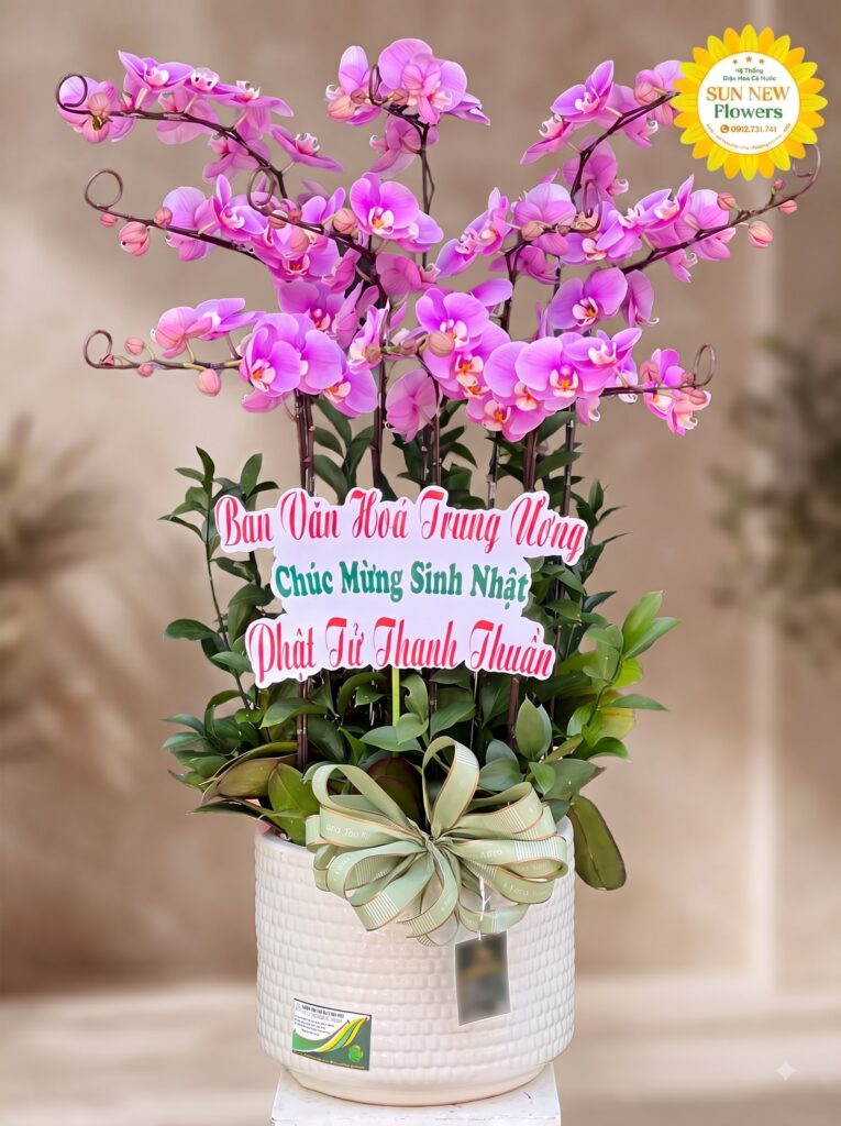 Chậu Lan Hồ Điệp Hồng Chúc Mừng Sinh Nhật