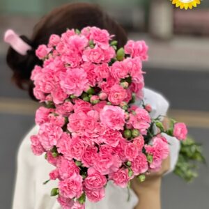Hoa cẩm chướng hồng tươi trang trí sự kiện cao cấp