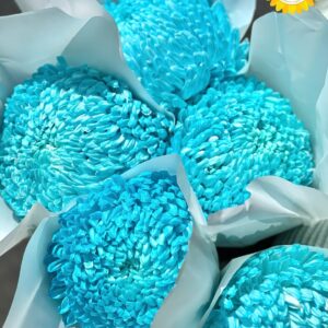 Hoa cúc mẫu đơn nghệ thuật trang trí sự kiện cao cấp