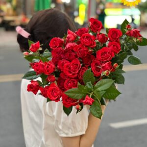 Hoa hồng tiểu muội đỏ tươi trang trí sự kiện cao cấp