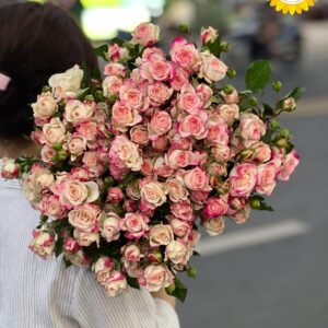 Hoa hồng tiểu muội hồng viền trang trí sự kiện cao cấp