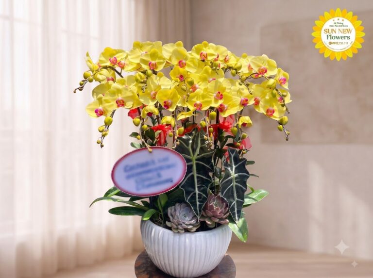 Lan hồ điệp hợp mệnh Kim