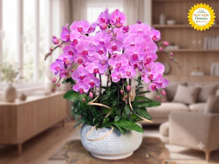 Lan hồ điệp hợp mệnh Thổ