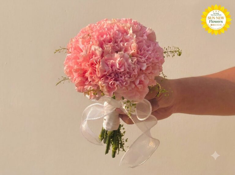 Bó hoa cưới cẩm chướng hồng tròn cầm tay