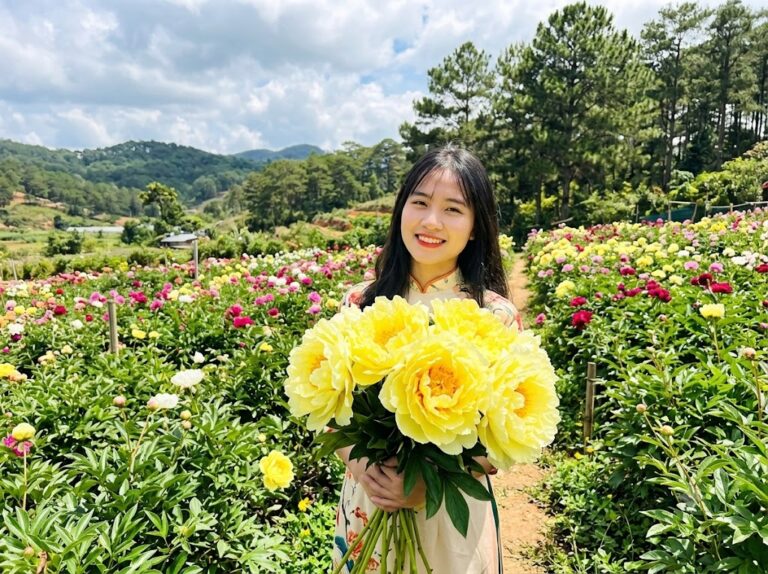 Ý nghĩa hoa mẫu đơn vàng